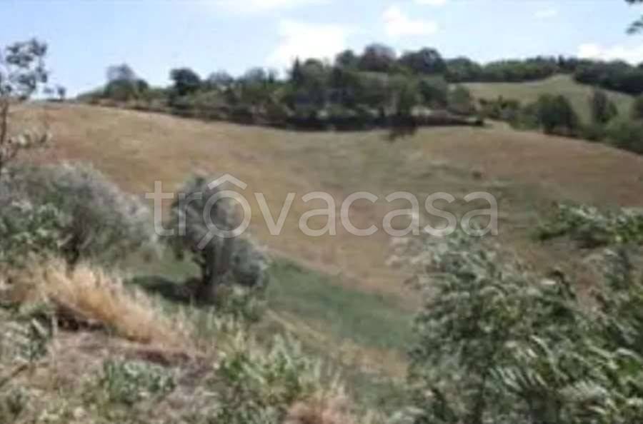 appartamento in vendita ad Urbino