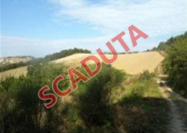 terreno agricolo in vendita ad Urbino