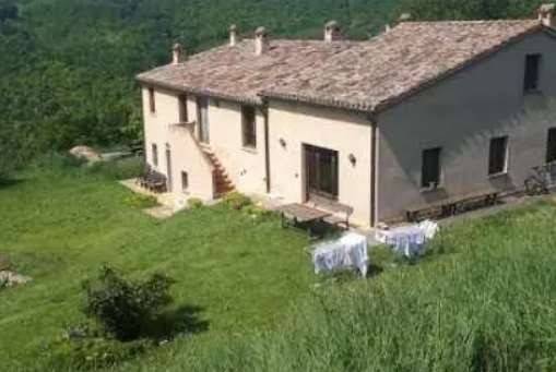 negozio in vendita ad Urbino in zona Maciolla