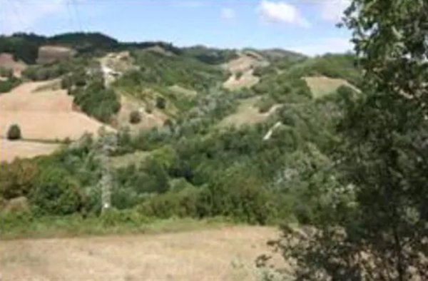 terreno agricolo in vendita ad Urbino