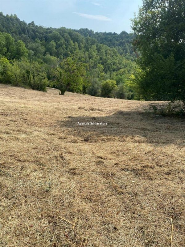 terreno agricolo in vendita ad Urbino in zona Pieve di Cagna