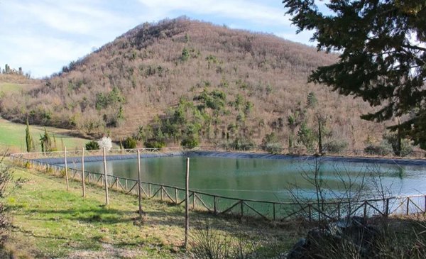 casa indipendente in vendita ad Urbino in zona Schieti