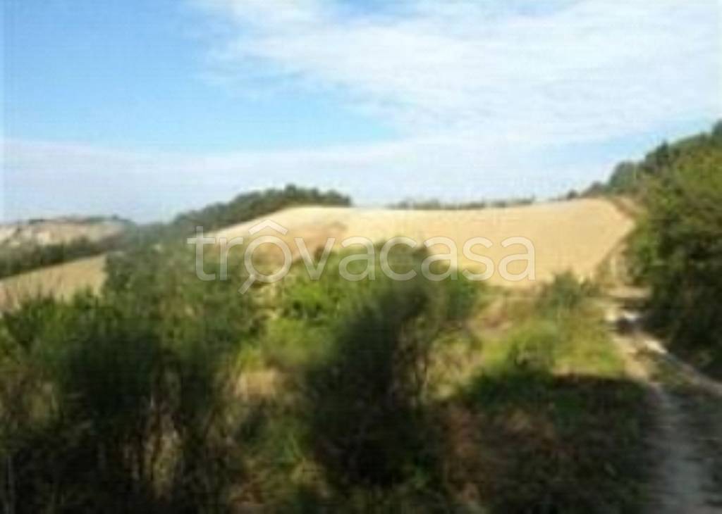 terreno agricolo in vendita ad Urbino