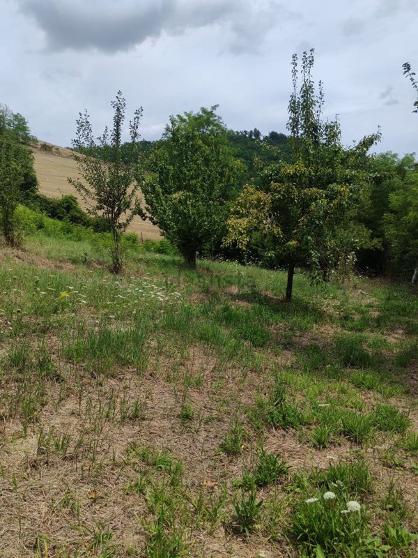 terreno agricolo in vendita ad Urbino