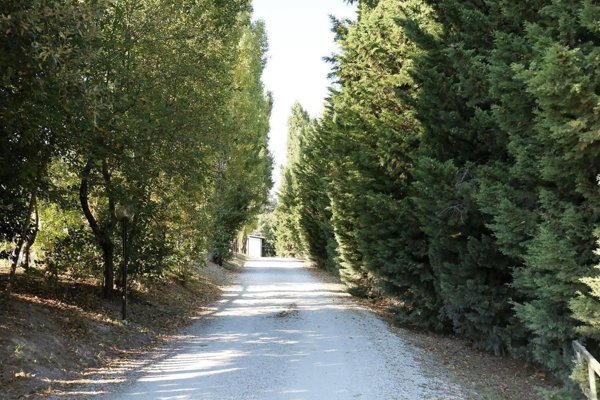 appartamento in vendita ad Urbino