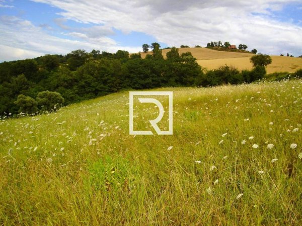 terreno agricolo in vendita ad Urbino in zona Schieti