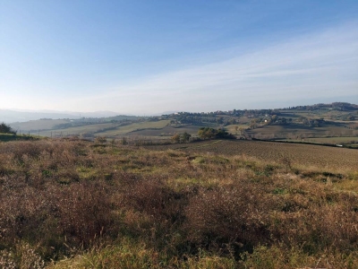 casa indipendente in vendita ad Urbino