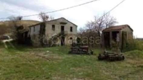terreno agricolo in vendita ad Urbino