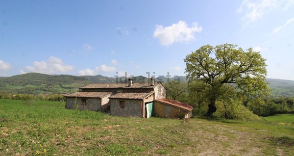 appartamento in vendita ad Urbino