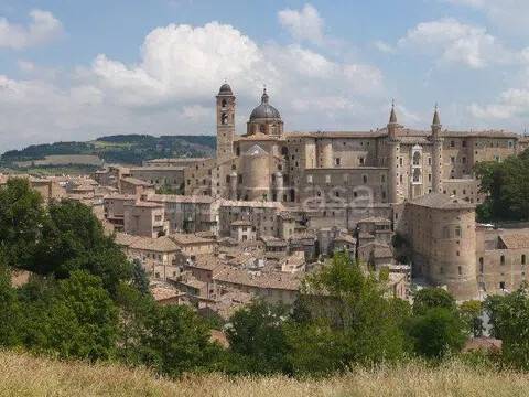 appartamento in vendita ad Urbino