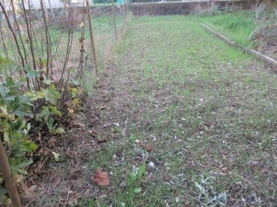 negozio in vendita a Vallefoglia