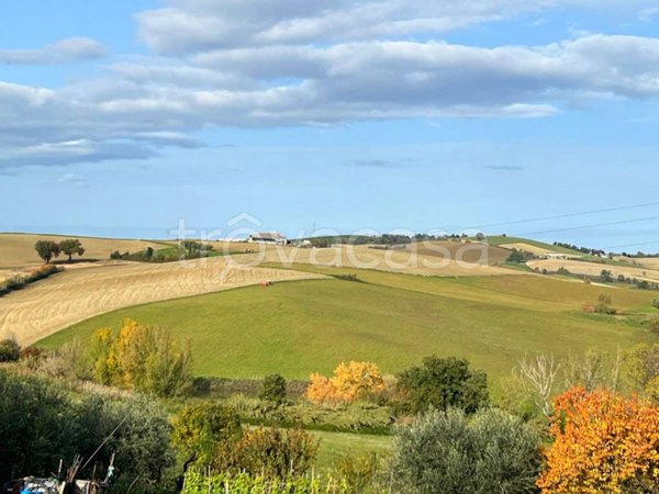 terreno agricolo in vendita a Vallefoglia in zona Montecchio