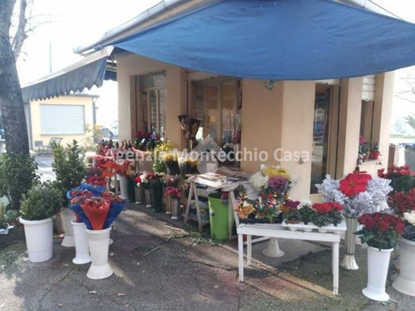 negozio in vendita a Vallefoglia