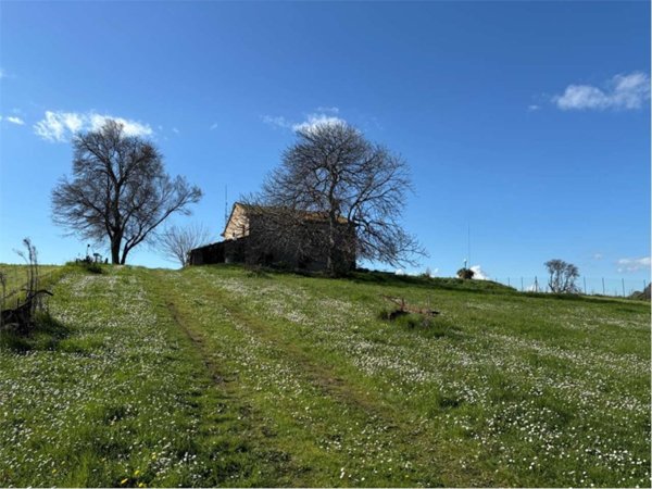 casa indipendente in vendita a Vallefoglia in zona Montecchio