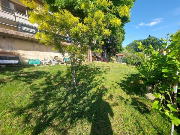 appartamento in vendita a Vallefoglia in zona Montecchio