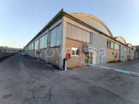 negozio in vendita a Vallefoglia in zona Talacchio