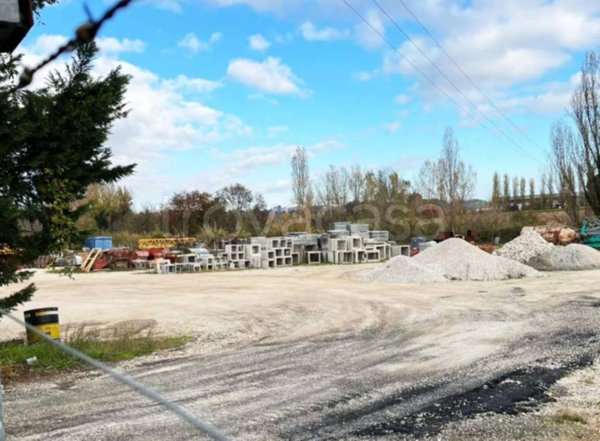 terreno agricolo in vendita a Vallefoglia in zona Colbordolo