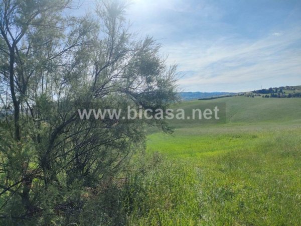 terreno agricolo in vendita a Vallefoglia in zona Montecchio