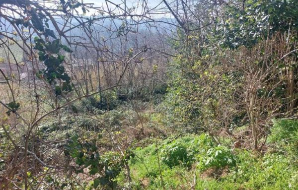 terreno edificabile in vendita a Vallefoglia