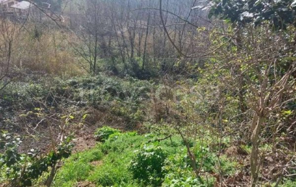 terreno agricolo in vendita a Vallefoglia