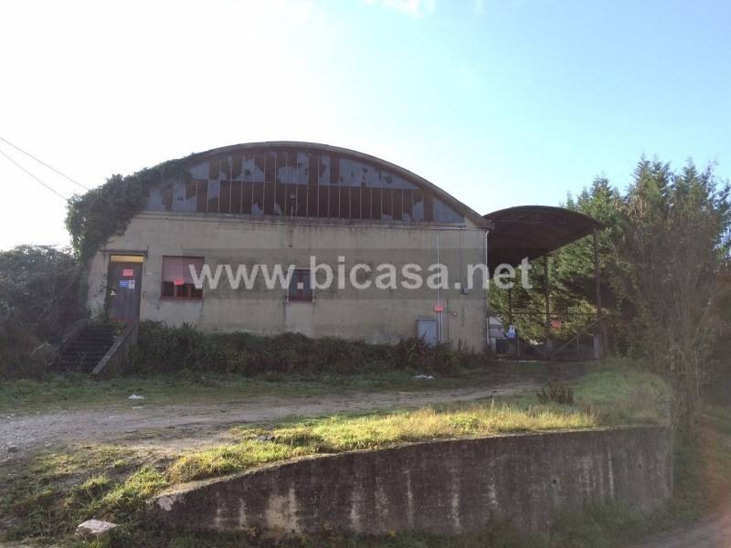 terreno agricolo in vendita a Vallefoglia in zona Talacchio
