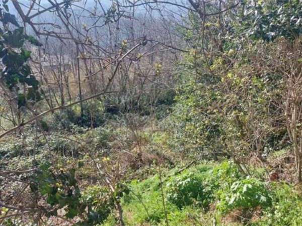terreno edificabile in vendita a Vallefoglia