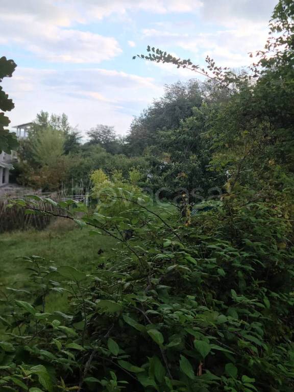 terreno agricolo in vendita a Vallefoglia