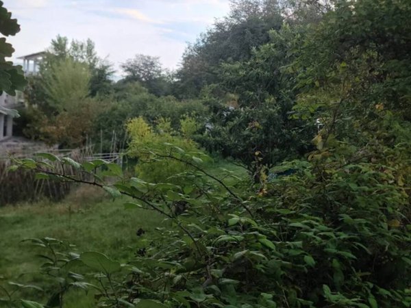 terreno agricolo in vendita a Vallefoglia