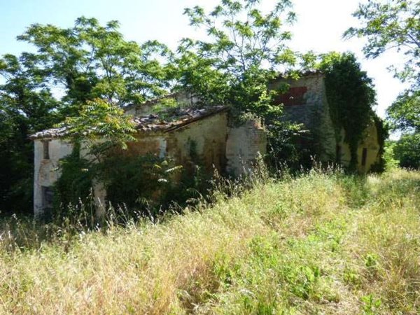 casa indipendente in vendita a Vallefoglia in zona Montecchio