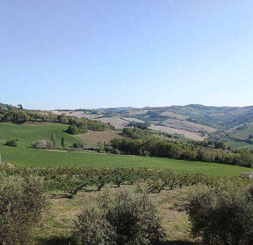 casa indipendente in vendita a Vallefoglia in zona Montecchio