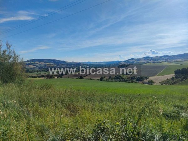 terreno agricolo in vendita a Vallefoglia in zona Montecchio
