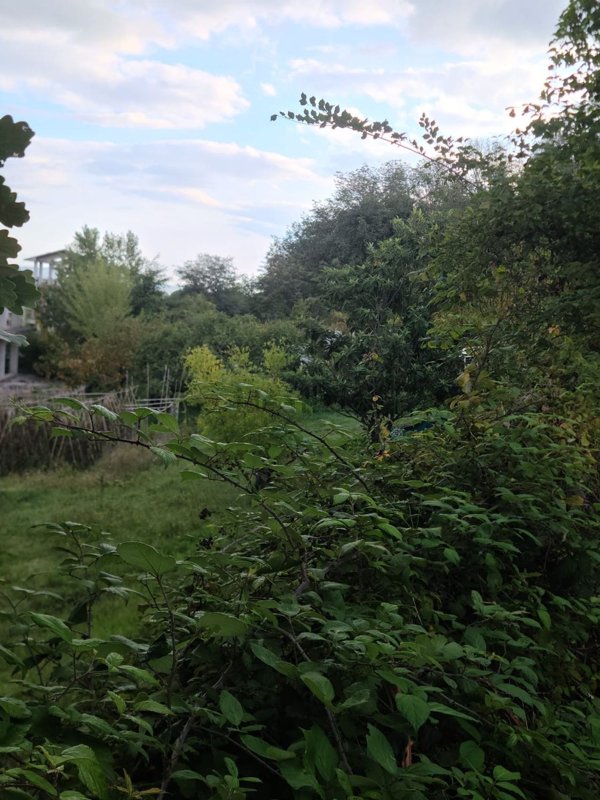 terreno agricolo in vendita a Vallefoglia