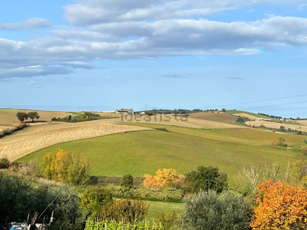 terreno agricolo in vendita a Vallefoglia in zona Montecchio