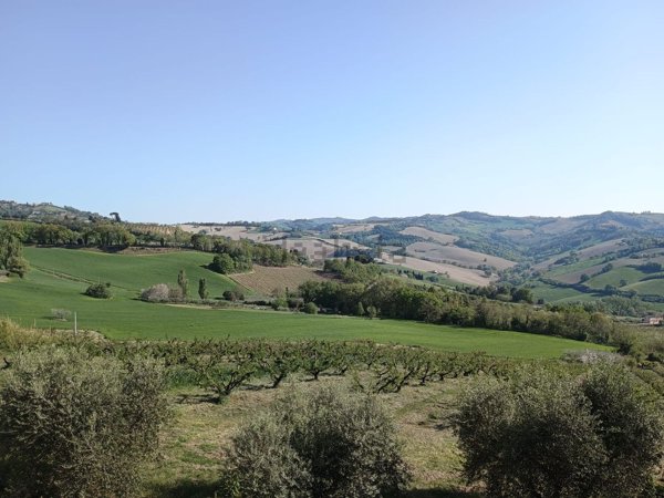 casa indipendente in vendita a Vallefoglia in zona Montecchio