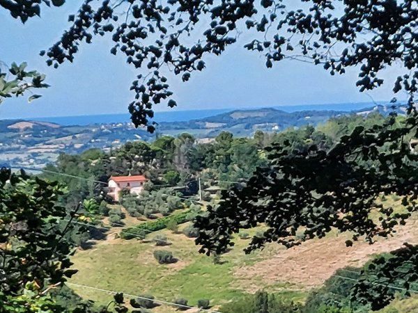 casa indipendente in vendita a Vallefoglia in zona Sant'Angelo in Lizzola