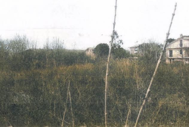 terreno agricolo in vendita a Vallefoglia