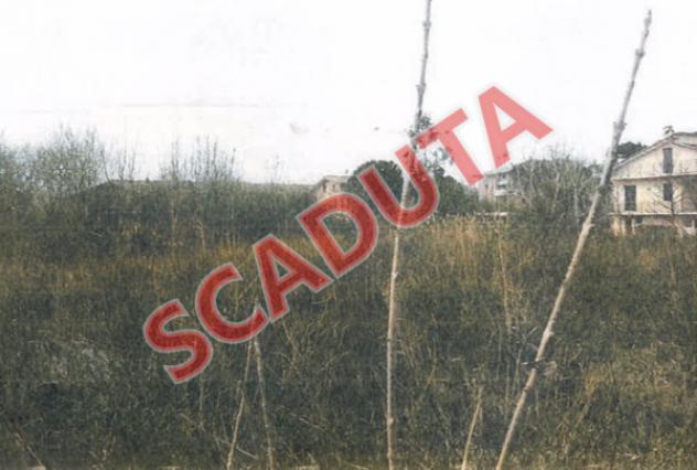 terreno agricolo in vendita a Vallefoglia