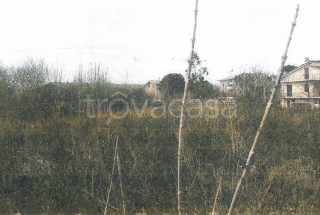 terreno agricolo in vendita a Vallefoglia