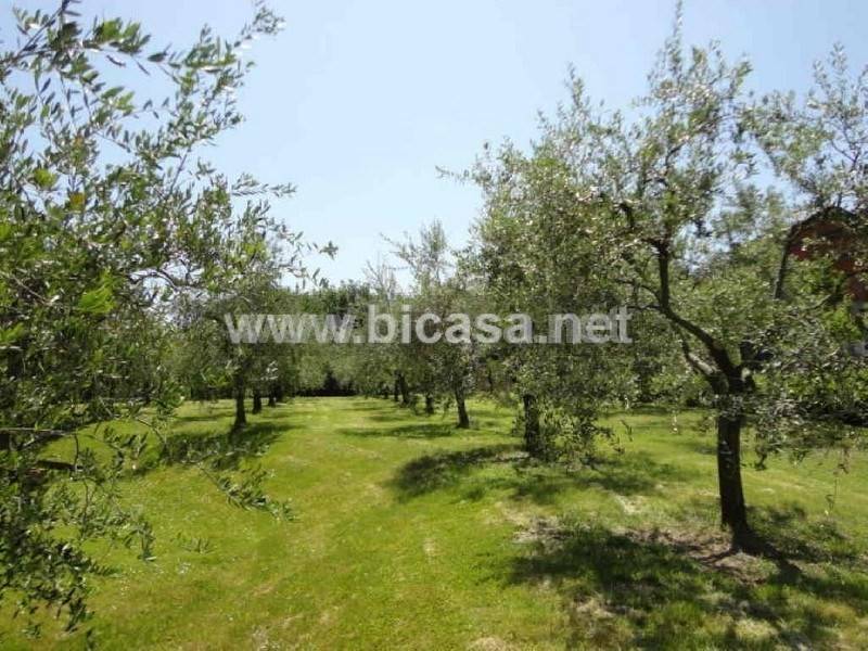 casa indipendente in vendita a Vallefoglia in zona Sant'Angelo in Lizzola