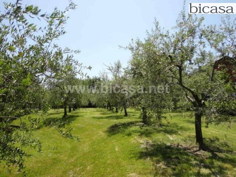 casa indipendente in vendita a Vallefoglia in zona Colbordolo