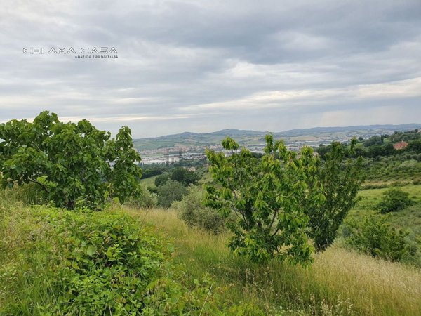 terreno agricolo in vendita a Vallefoglia in zona Sant'Angelo in Lizzola