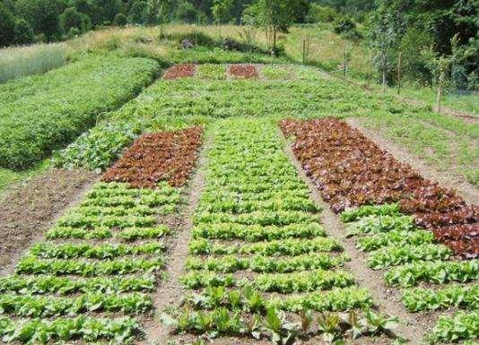 appartamento in vendita a Vallefoglia in zona Montecchio
