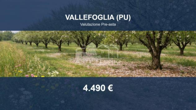 terreno agricolo in vendita a Vallefoglia in zona Montecchio