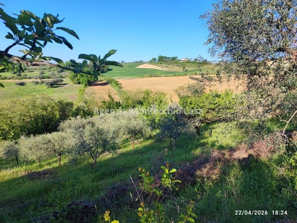terreno agricolo in vendita a Vallefoglia in zona Sant'Angelo in Lizzola