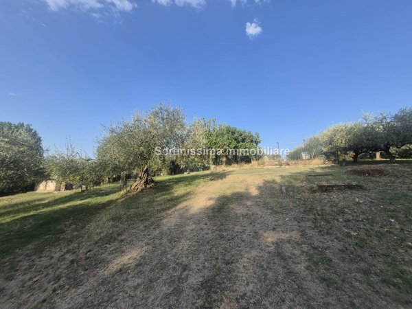 locale di sgombero in vendita a Vallefoglia in zona Montecchio