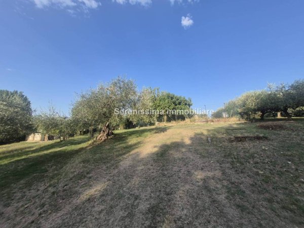 terreno agricolo in vendita a Vallefoglia in zona Montecchio