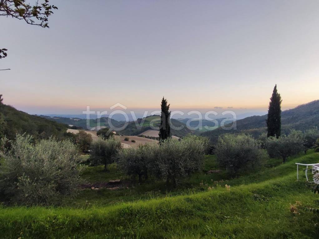 casa indipendente in vendita a Colli al Metauro in zona Serrungarina