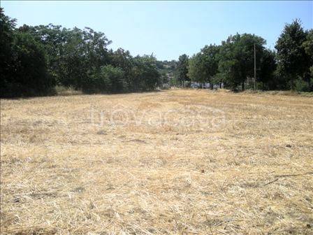 terreno edificabile in vendita a Colli al Metauro in zona Calcinelli