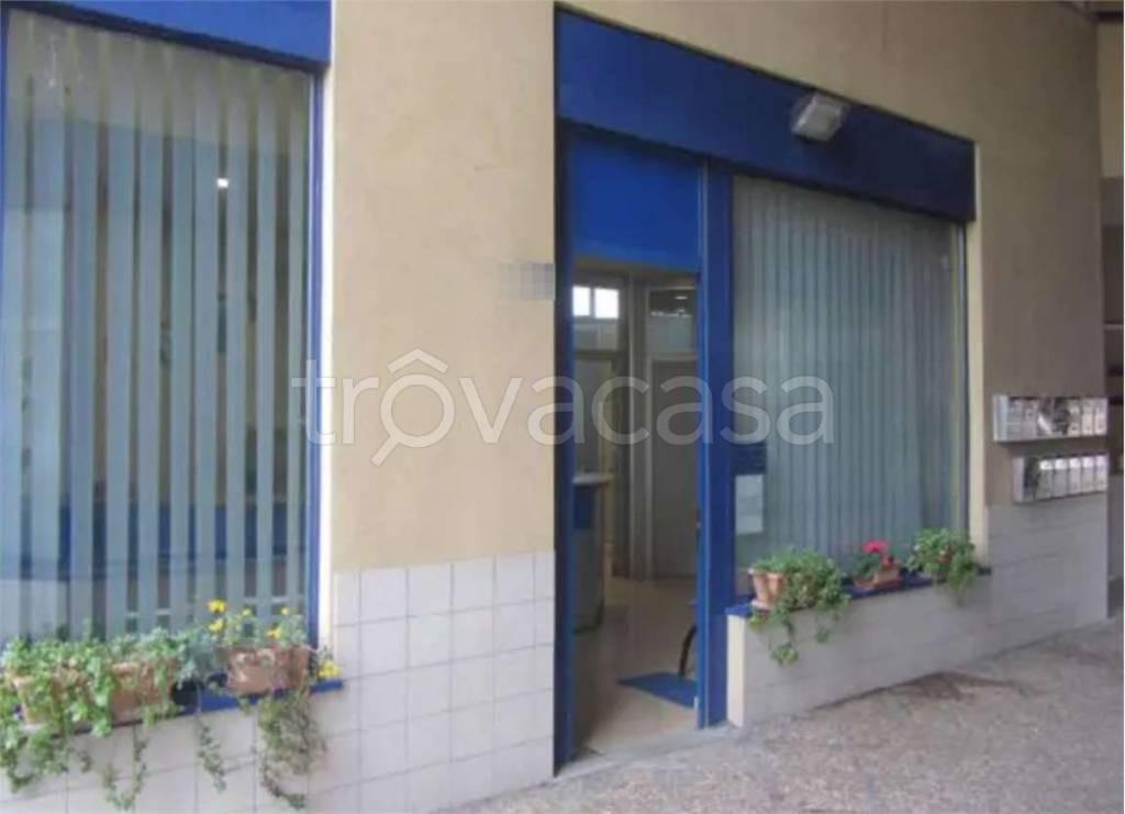 negozio in vendita a Colli al Metauro in zona Saltara