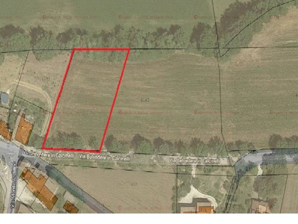 terreno agricolo in vendita a Colli al Metauro in zona Saltara